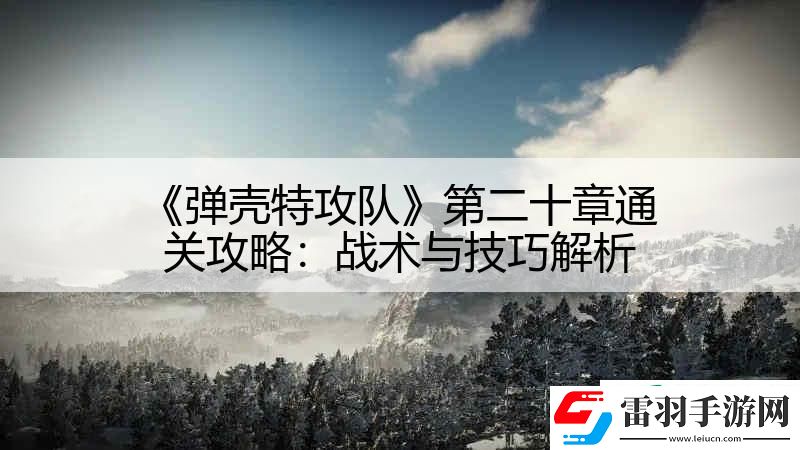彈殼特攻隊(duì)第二十章通關(guān)攻略