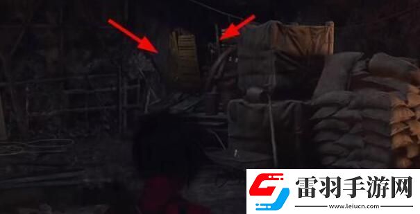 生化危機(jī)4重制版艾達(dá)王dlc鏟蟲行動(dòng)攻略艾達(dá)王dlc鏟蟲行動(dòng)攻略