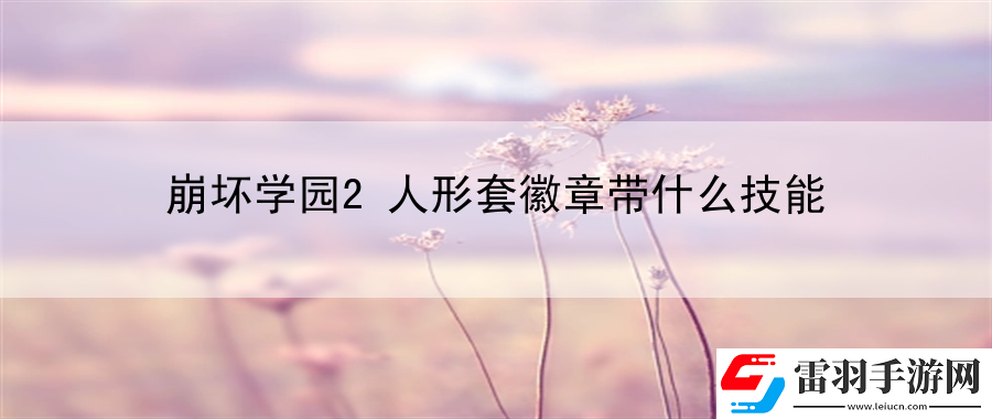 崩壞學(xué)園2人形套徽章帶什么技能