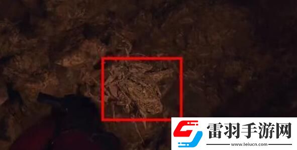 生化危機(jī)4重制版艾達(dá)王dlc鏟蟲行動(dòng)攻略艾達(dá)王dlc鏟蟲行動(dòng)攻略