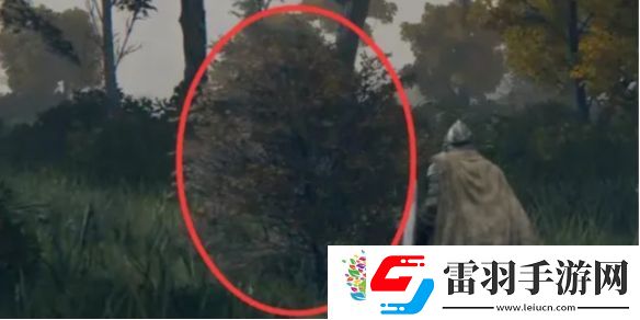 艾爾登法環(huán)鳥瞰鏡附近的人介紹