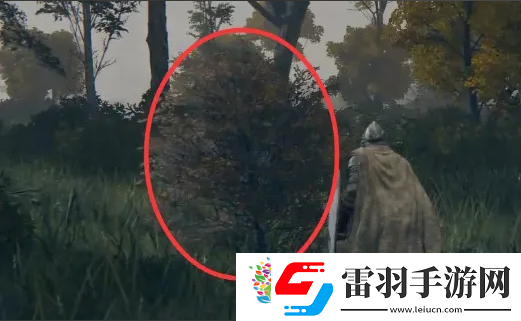艾爾登法環(huán)鳥瞰鏡附近的人介紹