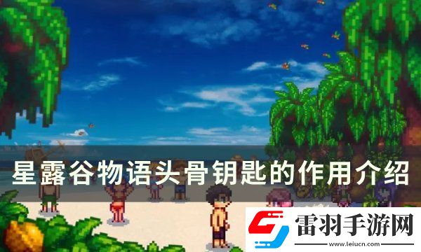 星露谷物語(yǔ)頭骨鑰匙的用途是什么