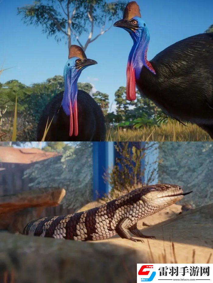 動物園之星澳大利亞包有什么動物
