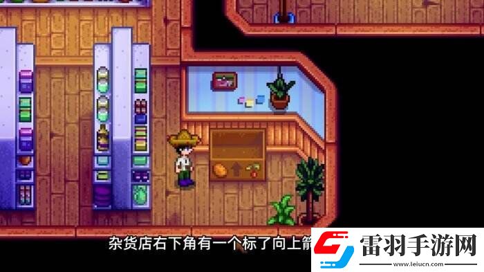 星露谷物語(yǔ)皮埃爾雜貨店介紹