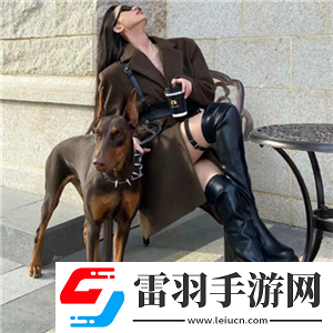 戲里戲外