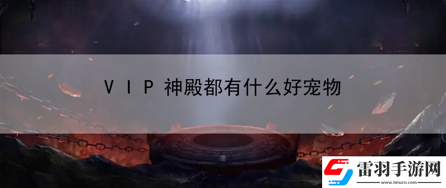 VIP神殿都有什么好寵物