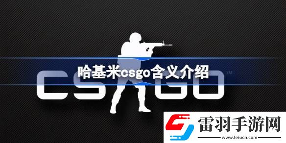 哈基米csgo什么意思