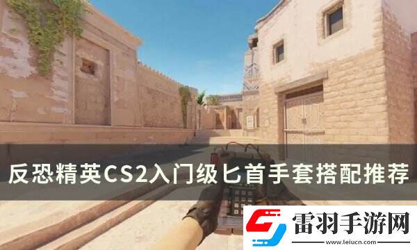 反恐精英CS2手套匕首怎么搭配