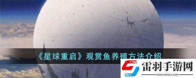 星球重啟觀賞魚養(yǎng)殖方法介紹