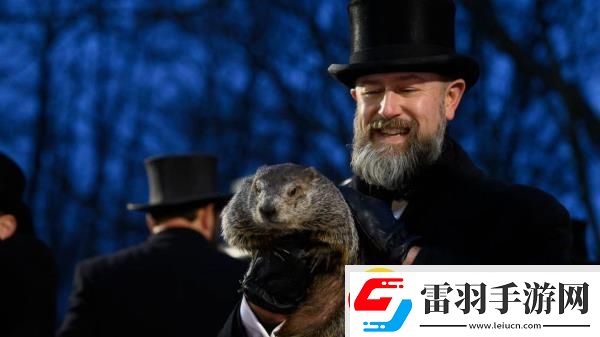結(jié)果顯示