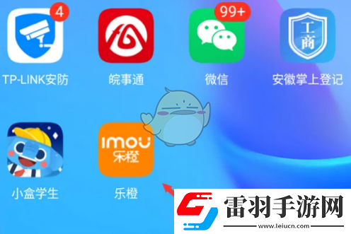 樂橙怎么看回放