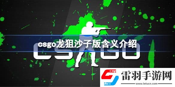 csgo龍狙沙子版什么意思