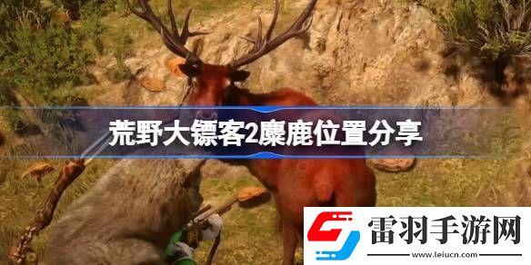 荒野大鏢客2麋鹿哪里多