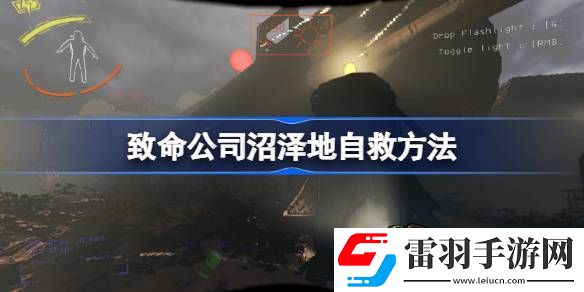 致命公司沼澤地如何自救