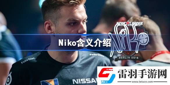 Niko是什么意思