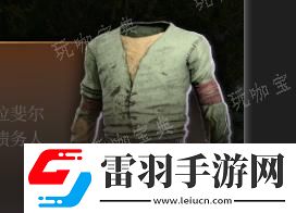 博德之門(mén)3綠色負(fù)債者著裝介紹