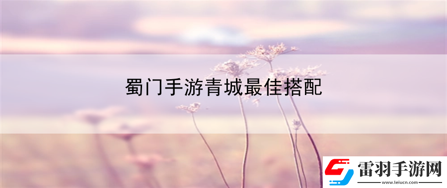 蜀門手游青城最佳搭配
