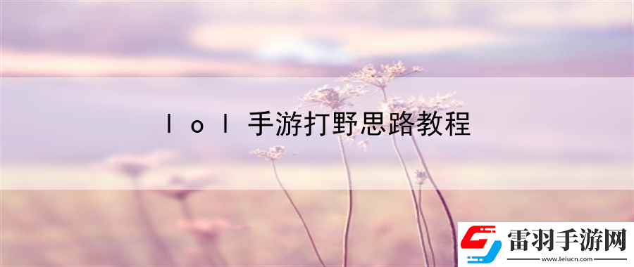 lol手游打野思路教程