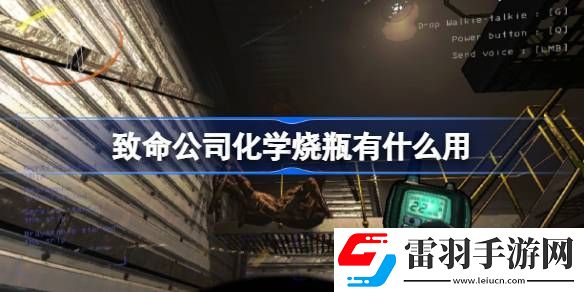 致命公司化學(xué)燒瓶有什么用
