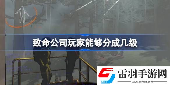 致命公司玩家能夠分成幾級