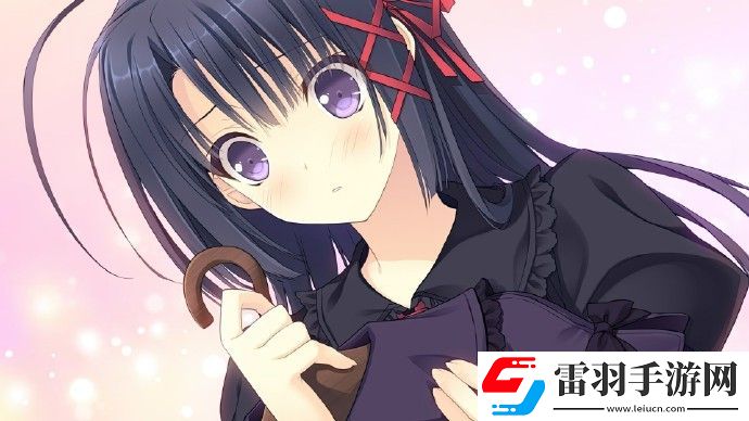 少女理論及其周邊steam多少錢