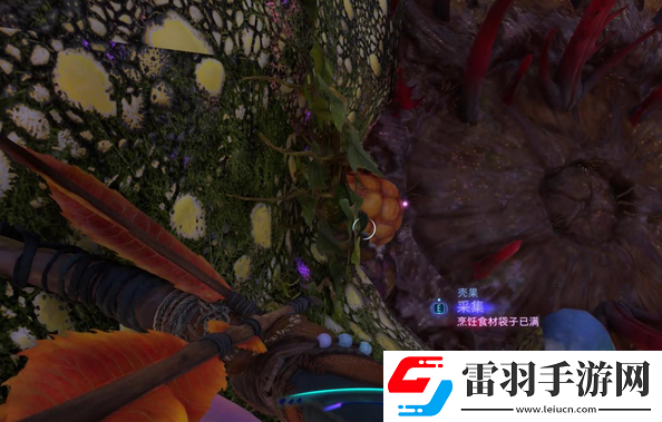 阿凡達(dá)潘多拉邊境餐飯記憶支線任務(wù)怎么做