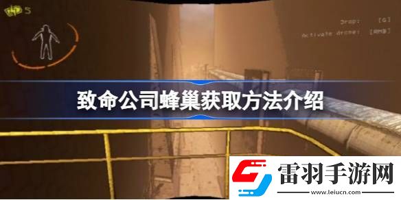 致命公司蜂巢怎么拿