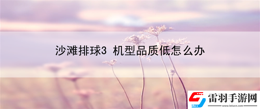 沙灘排球3機型品質(zhì)低怎么辦