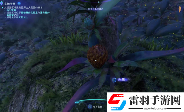 阿凡達潘多拉邊境實地考察支線怎么做