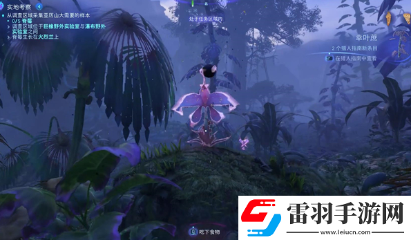 阿凡達潘多拉邊境實地考察支線怎么做