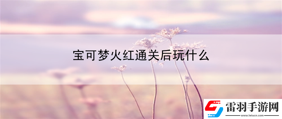 寶可夢(mèng)火紅通關(guān)后玩什么