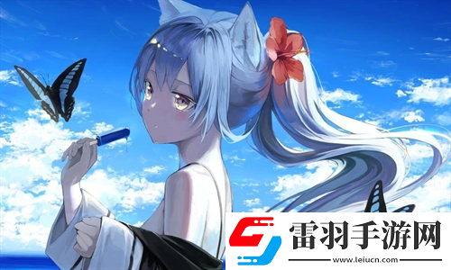 三葉草m碼和歐洲碼區(qū)別