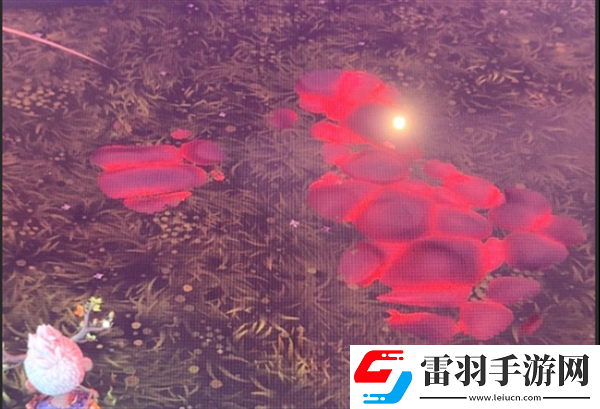 荒原療者污染地面修復(fù)方法