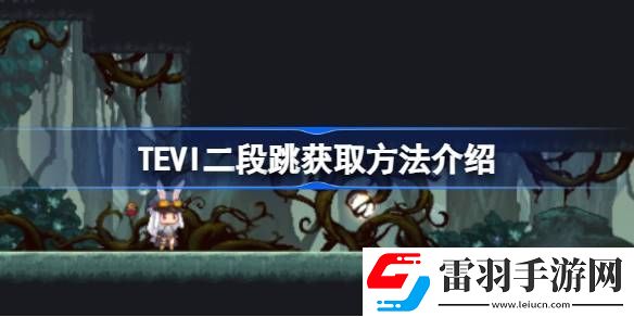 TEVI二段跳在哪兒拿