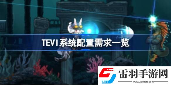 TEVI需要什么配置