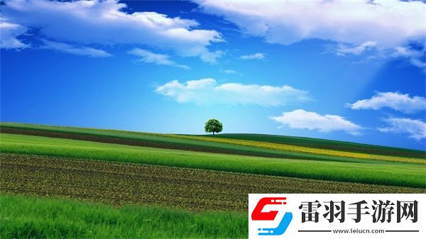 小掃貨能么多叫出來