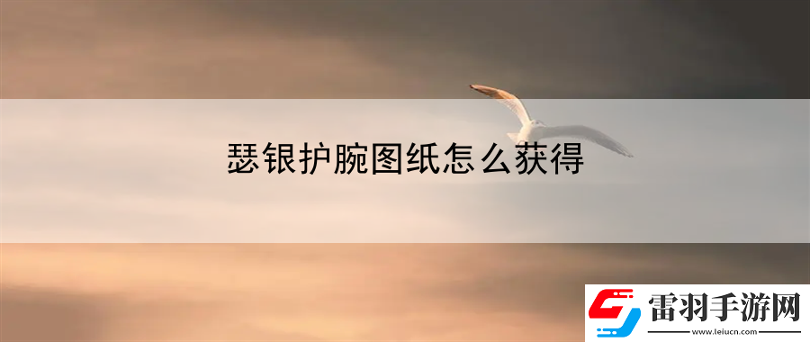瑟銀護(hù)腕圖紙?jiān)趺传@得