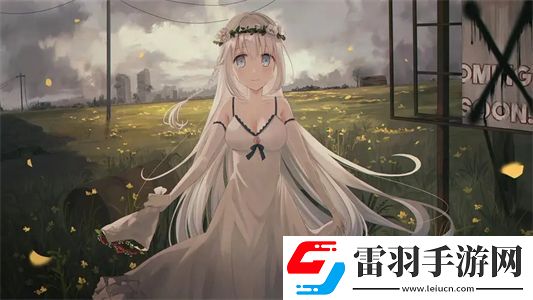 夜夜草