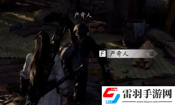 燕云十六聲俠跡卷三嚴奇人任務如何完成