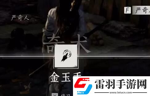 燕云十六聲俠跡卷三嚴奇人任務如何完成