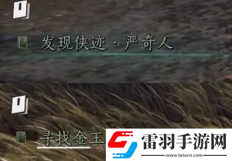 燕云十六聲俠跡卷三嚴奇人任務如何完成