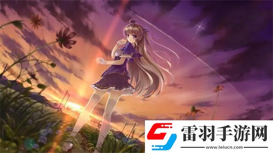 在線CRM網(wǎng)站建站