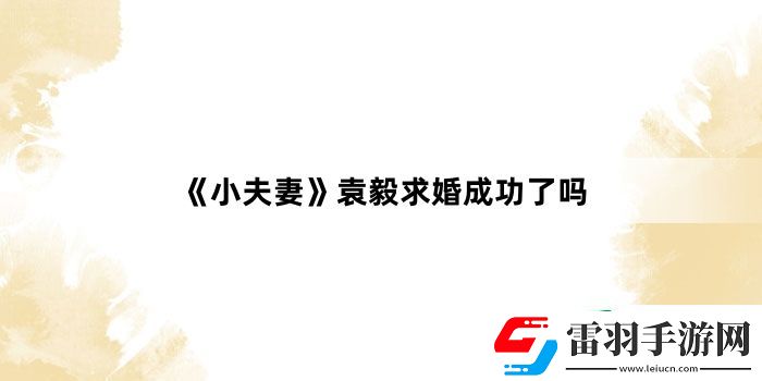 小夫妻袁毅求婚成功了嗎