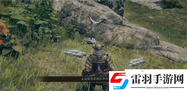 艾爾登法環(huán)怎么聯(lián)機