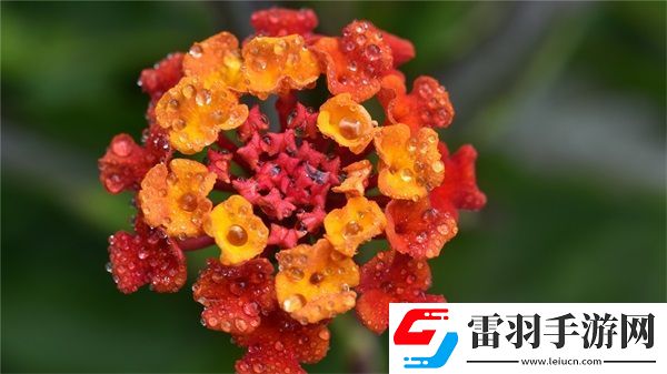 就喜歡聽你叫1V1烤魚貓
