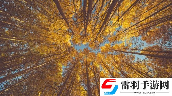 貴族游戲