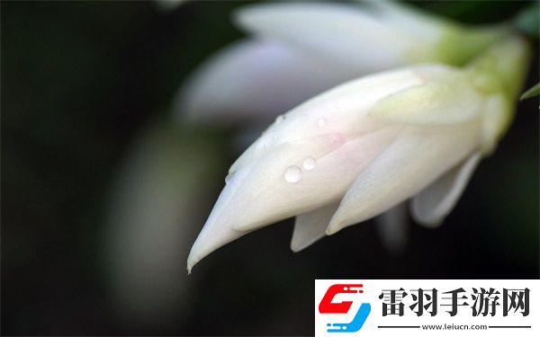 老公說她想嘗試多人怎么回復(fù)她呢
