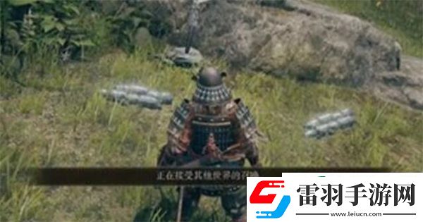 艾爾登法環(huán)怎么聯(lián)機