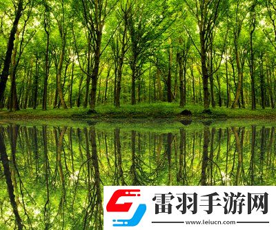 單身男女觀看免費(fèi)完整版：在愛與孤獨(dú)之間，讓你感受不一樣的心動時(shí)刻！
